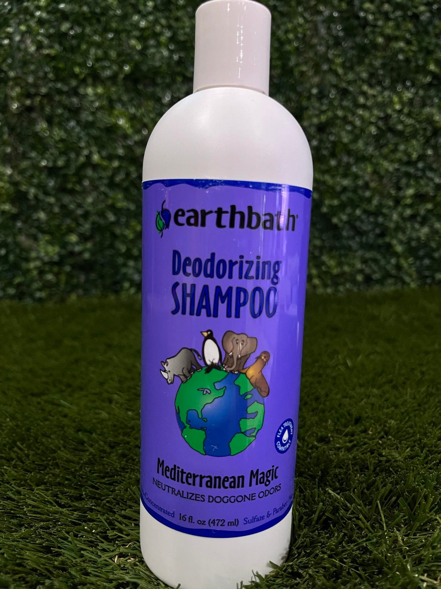 Earthbath Deodorizing Shampoo