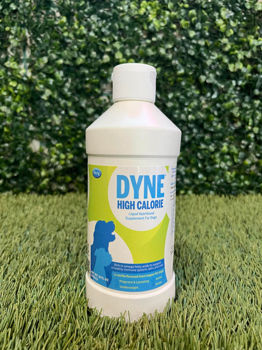 Dyne 16oz