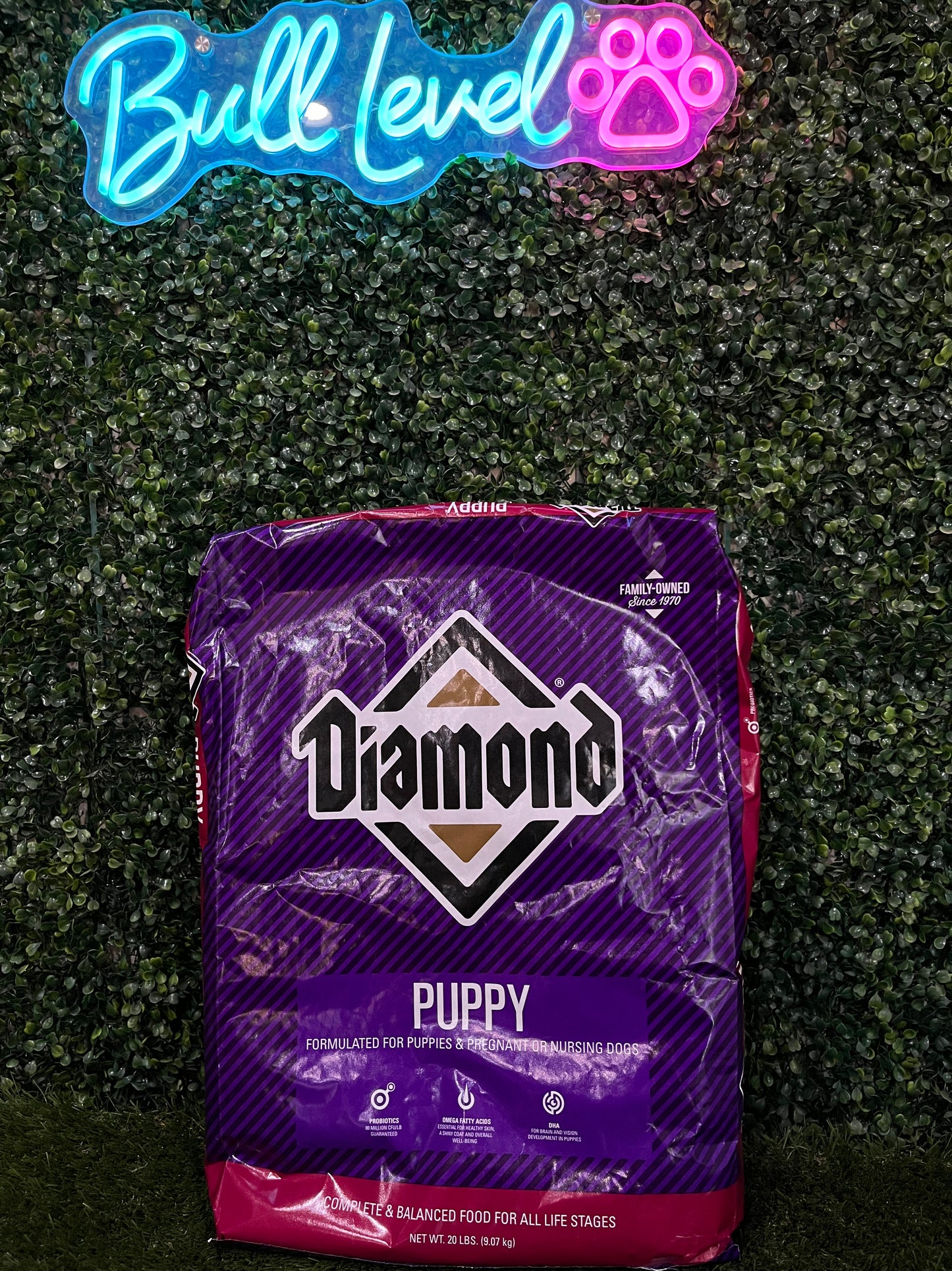 Diamond Puppy 20lbs